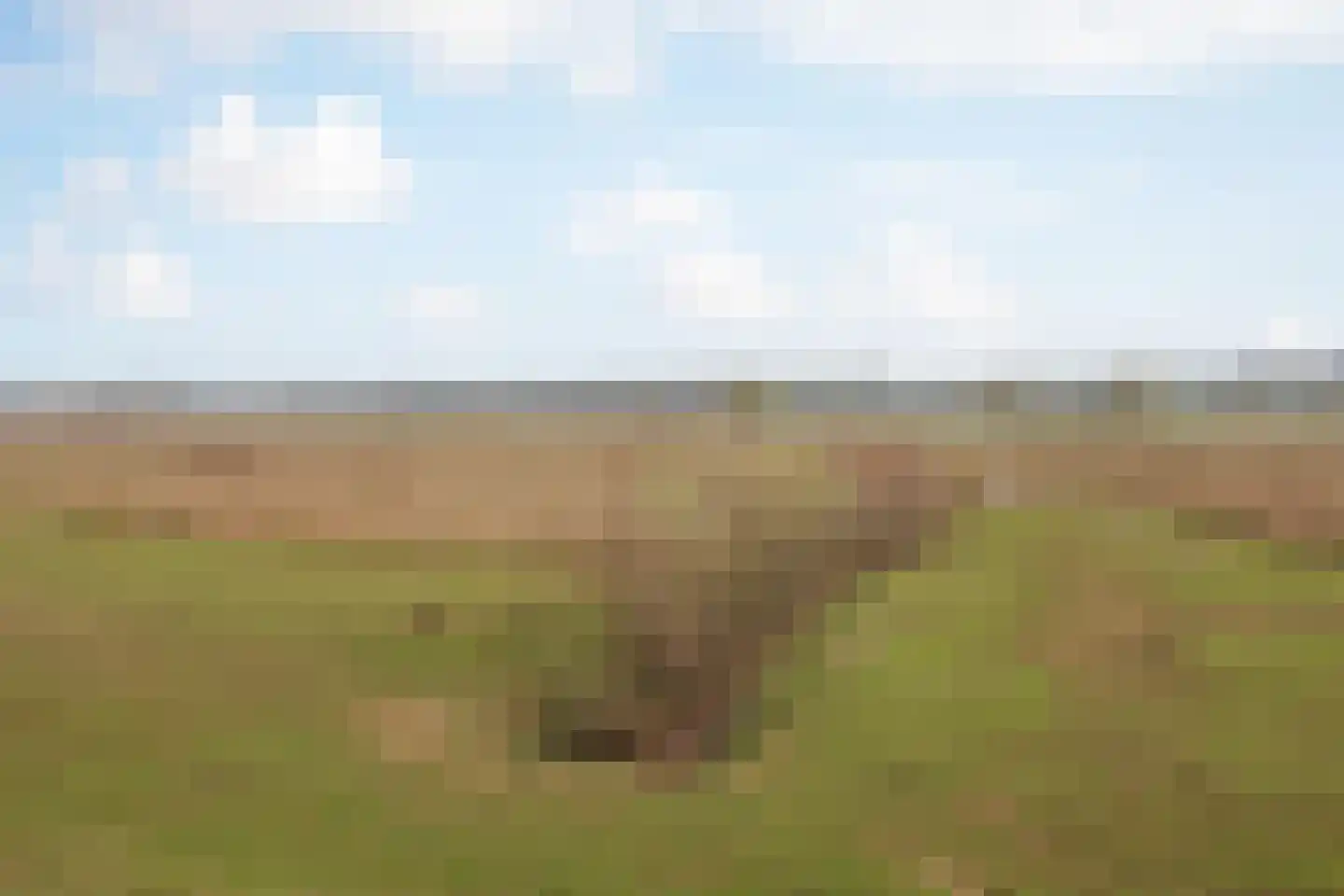 Op de Spekt 17 Broekhuizenvorst thumbnail 42