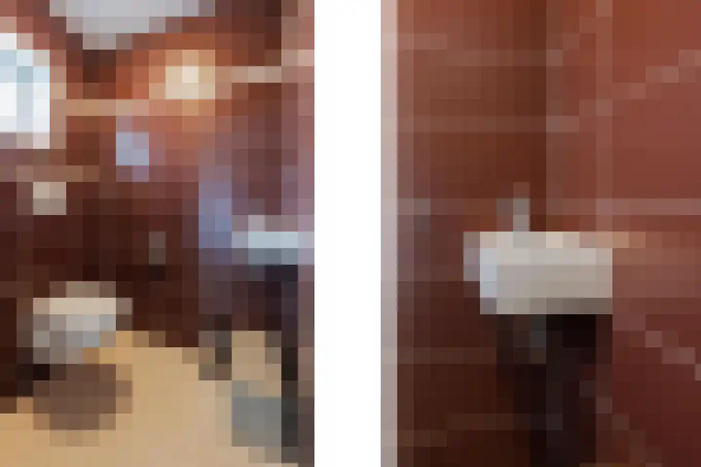 Op de Spekt 17 Broekhuizenvorst thumbnail 9
