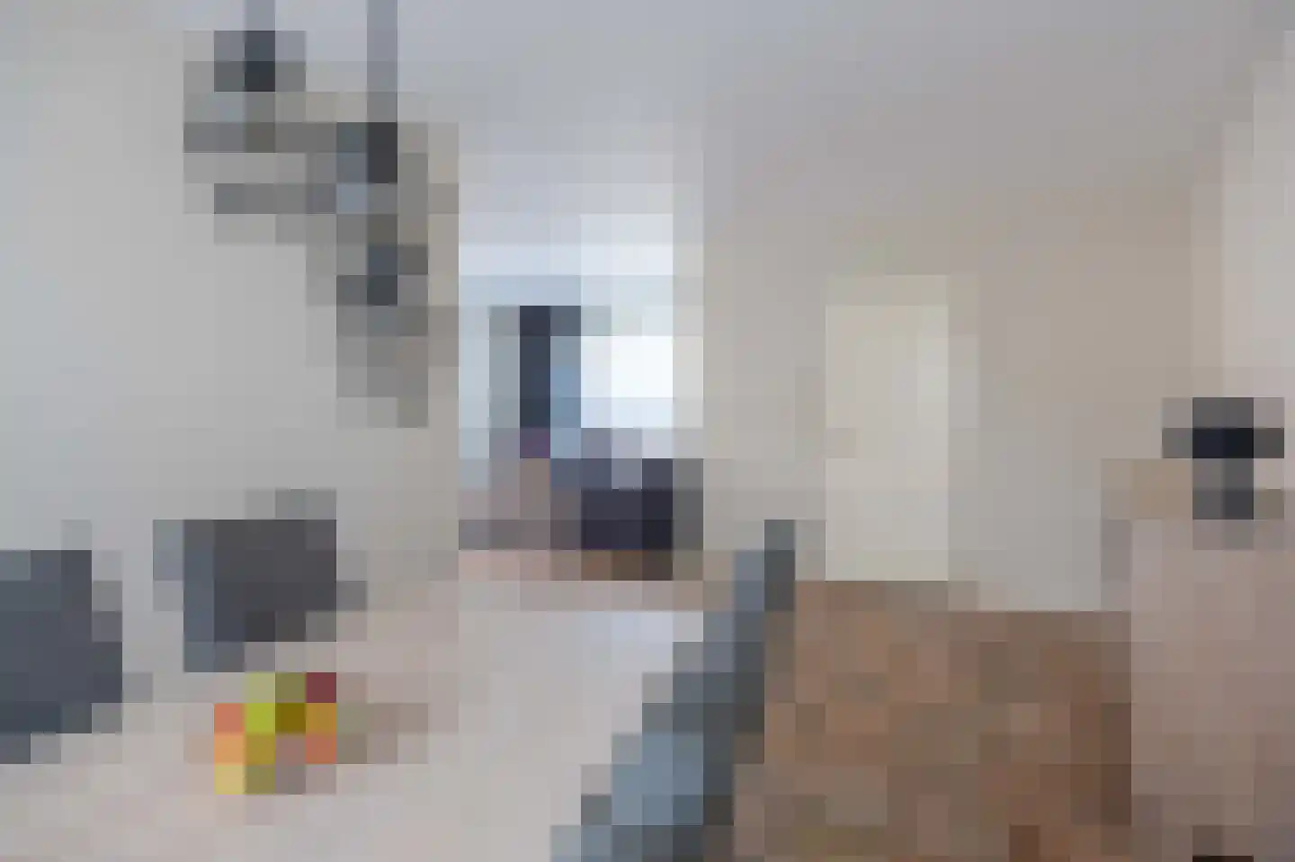 Op de Stalberg 4 Wellerlooi thumbnail 9