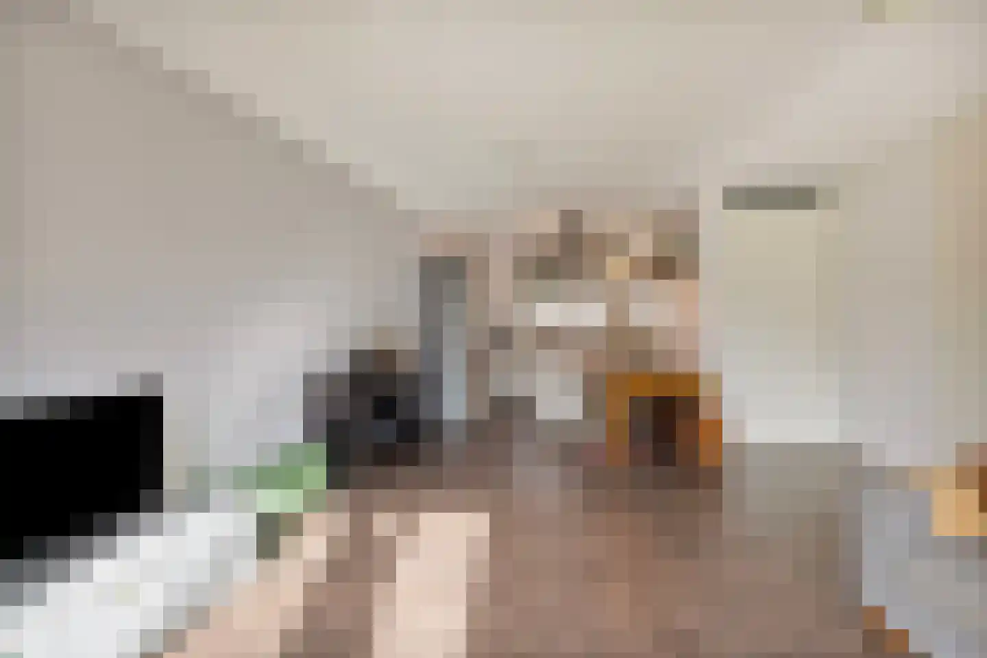 Op de Steen 30 Herten thumbnail 17
