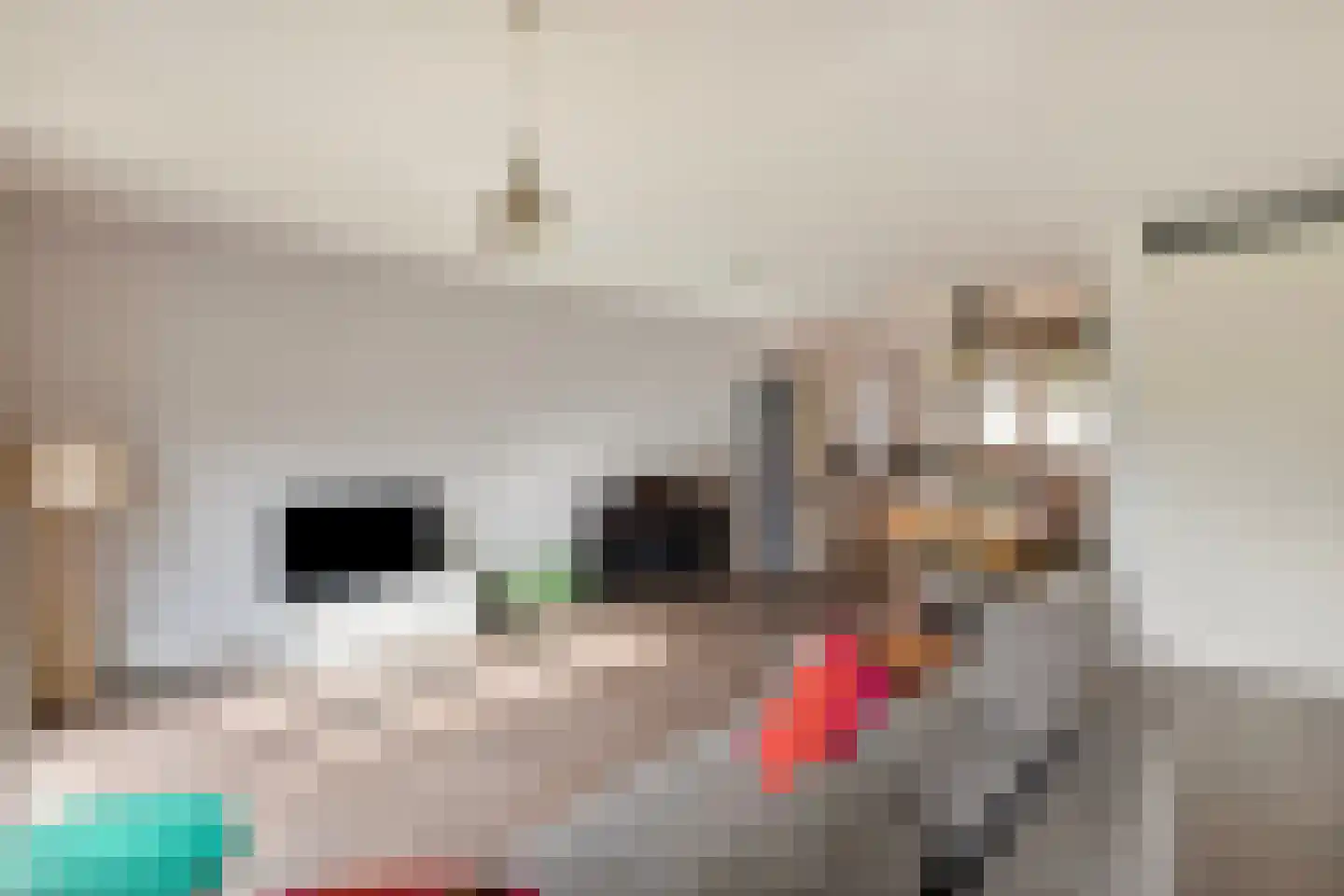 Op de Steen 30 Herten thumbnail 18