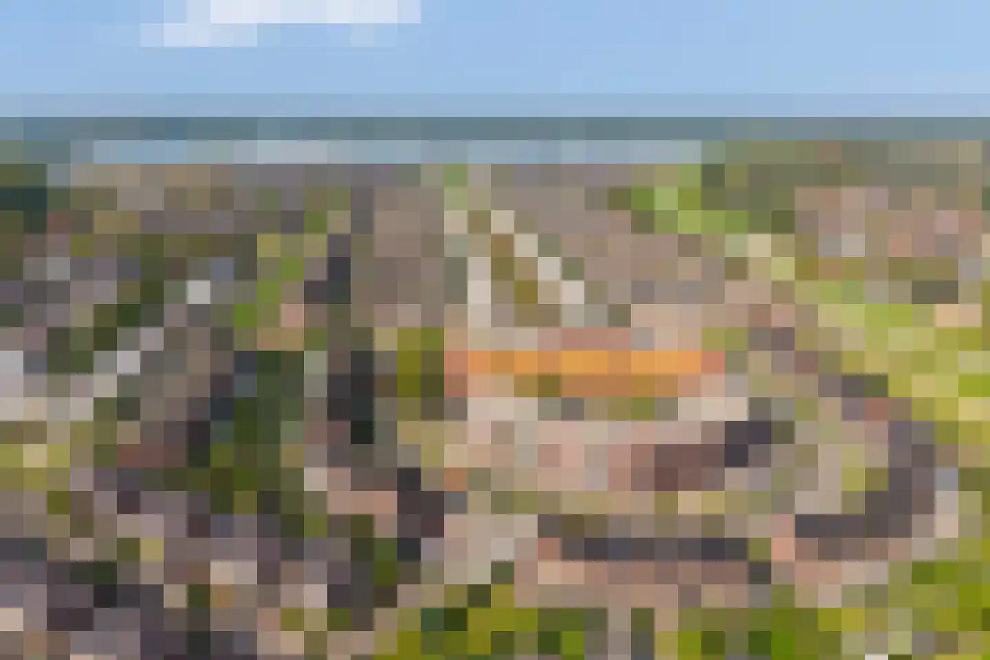 Op de Steen 30 Herten thumbnail 39