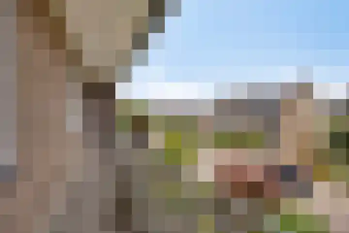 Op de Vaard 6 Brunssum thumbnail 17