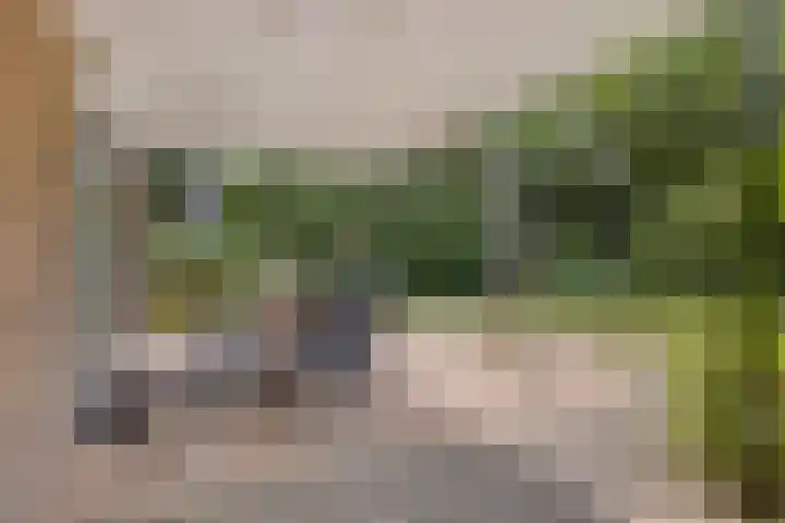 Op de Vaard 6 Brunssum thumbnail 25
