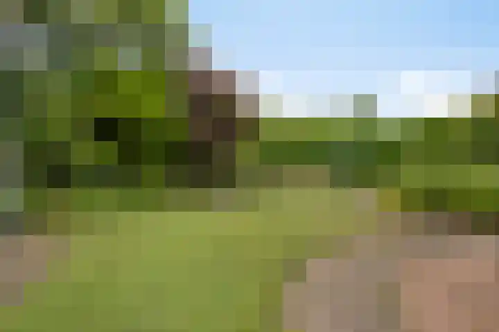 Op de Vaard 6 Brunssum thumbnail 26