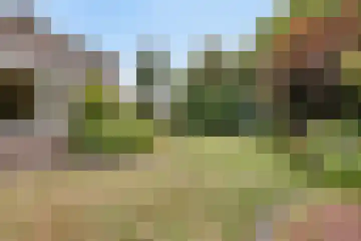 Op de Vaard 6 Brunssum thumbnail 27