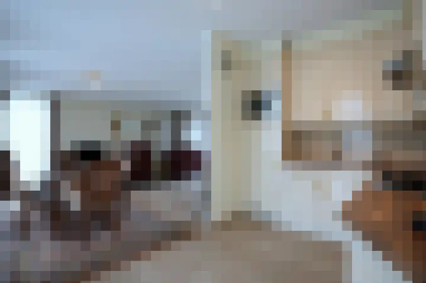 Op de Vey 29 4 Geleen thumbnail 12