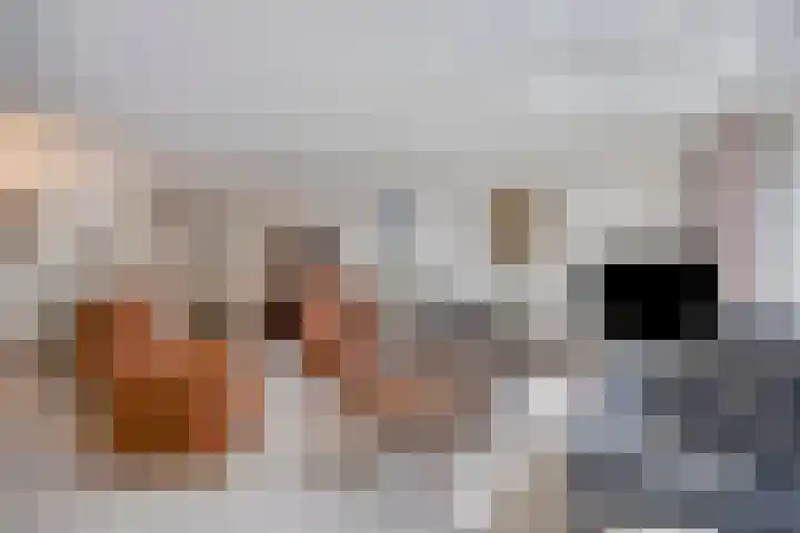 Op de Vey 38 Geleen thumbnail 11