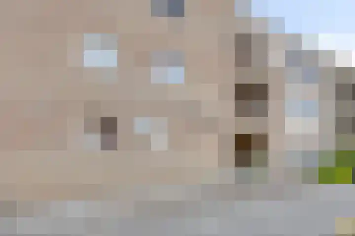 Op de Vey 38 Geleen thumbnail 28