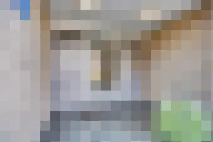 Op de Vey 38 Geleen thumbnail 4
