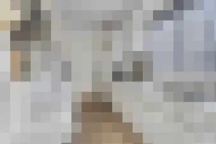 Op de Vey 5 Geleen thumbnail 12