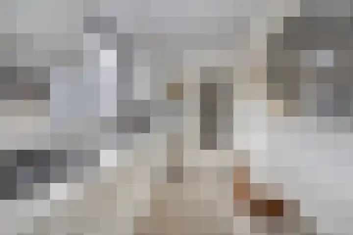 Op de Vey 5 Geleen thumbnail 13
