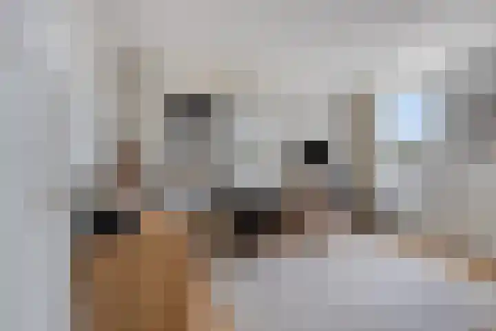 Op de Vey 5 Geleen thumbnail 22