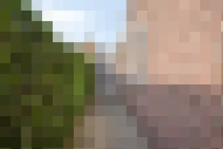 Op de Vey 5 Geleen thumbnail 29