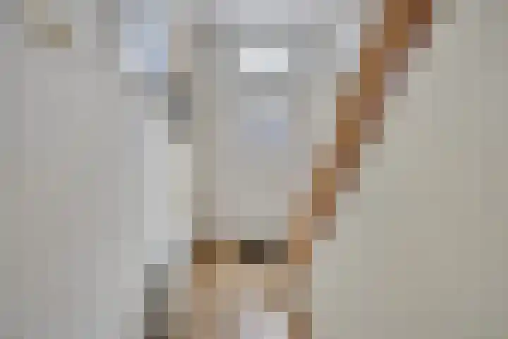 Op de Vey 5 Geleen thumbnail 4