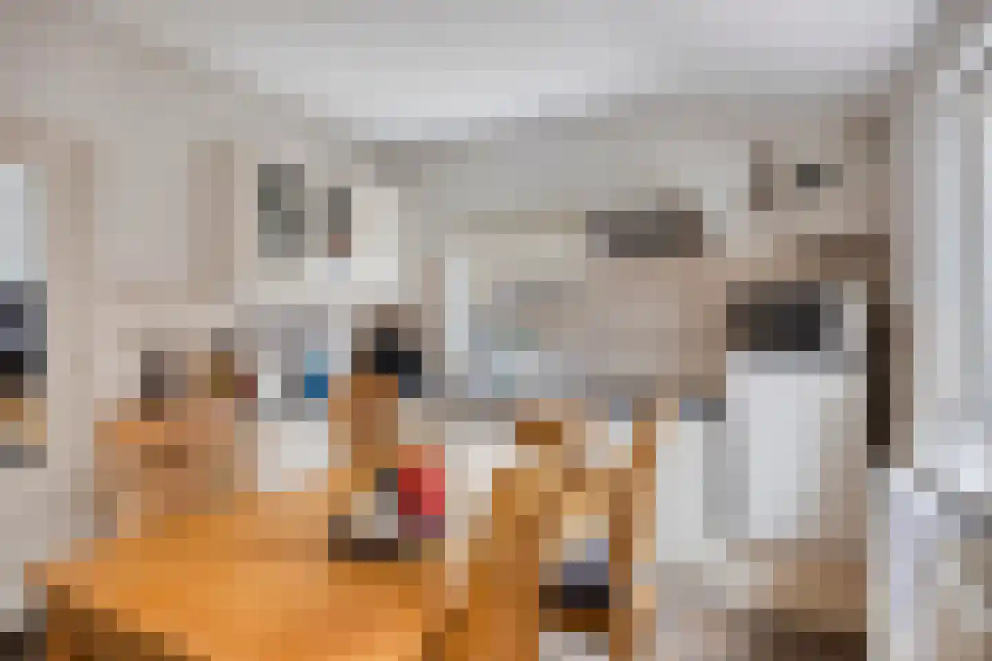 Op de Vey 54 Geleen thumbnail 30