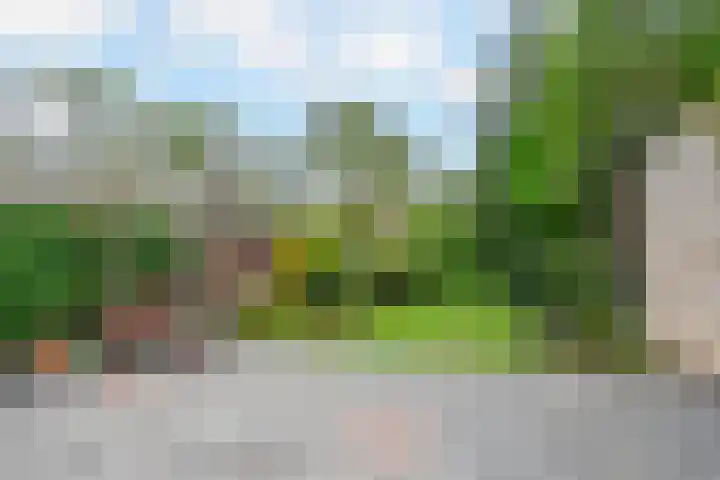 Op de Vey 54 Geleen thumbnail 4