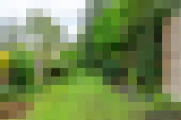 Op de Vey 54 Geleen thumbnail 42
