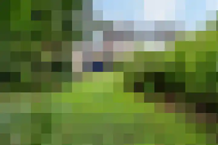 Op de Vey 54 Geleen thumbnail 43