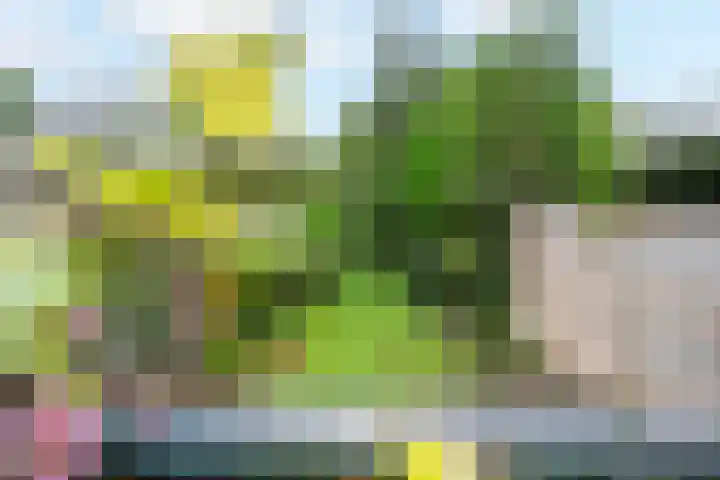 Op de Vey 54 Geleen thumbnail 44