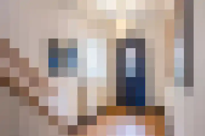 Op de Vey 54 Geleen thumbnail 7