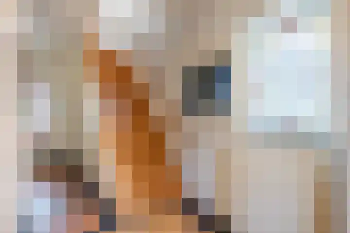 Op de Vey 54 Geleen thumbnail 9