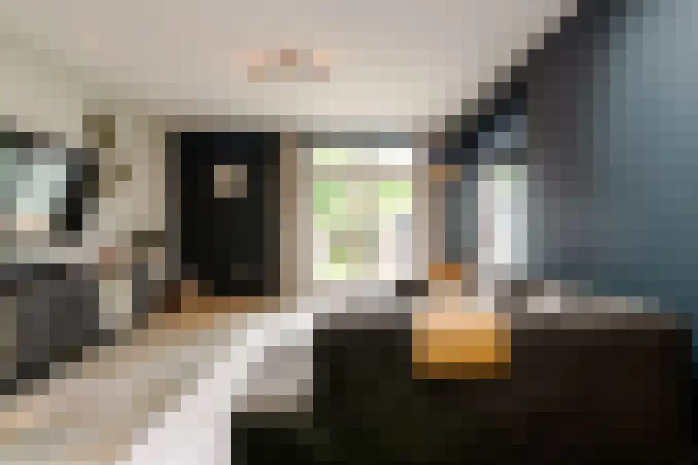 Op de Vey 8 Geleen thumbnail 14