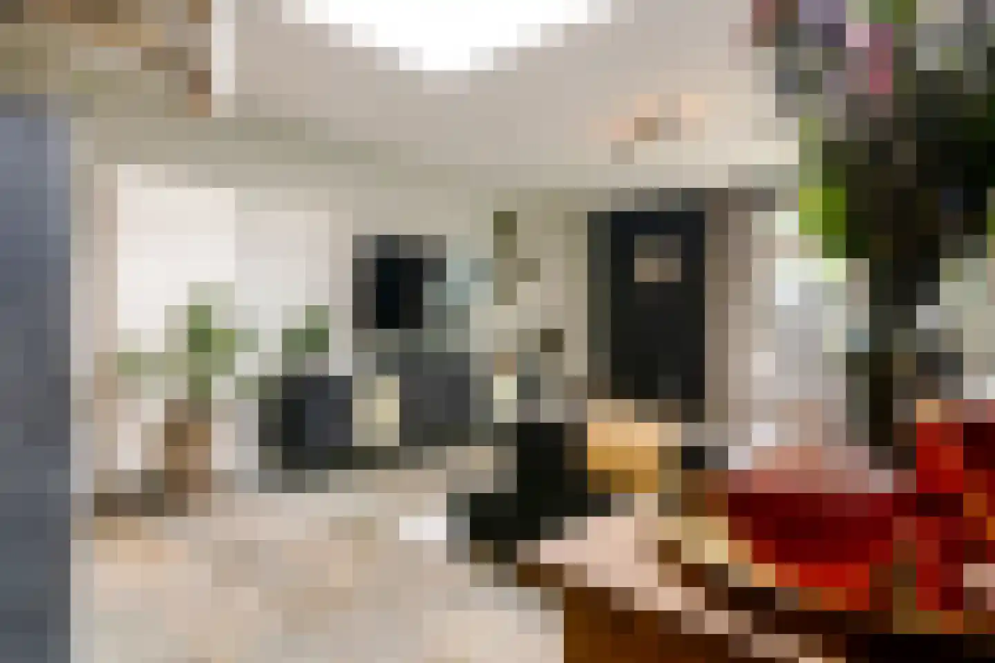 Op de Vey 8 Geleen thumbnail 15