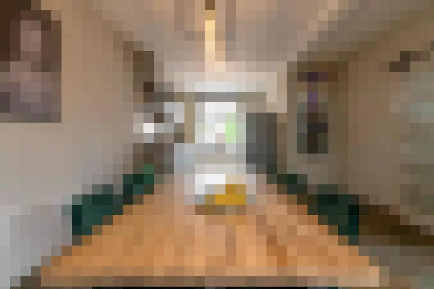 Op de Vey 8 Geleen thumbnail 22