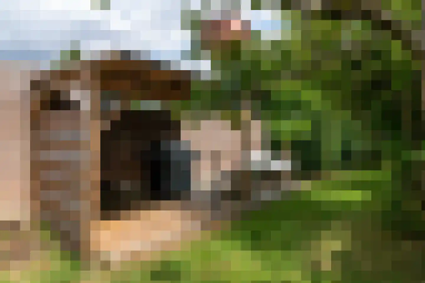 Op de Vey 8 Geleen thumbnail 42