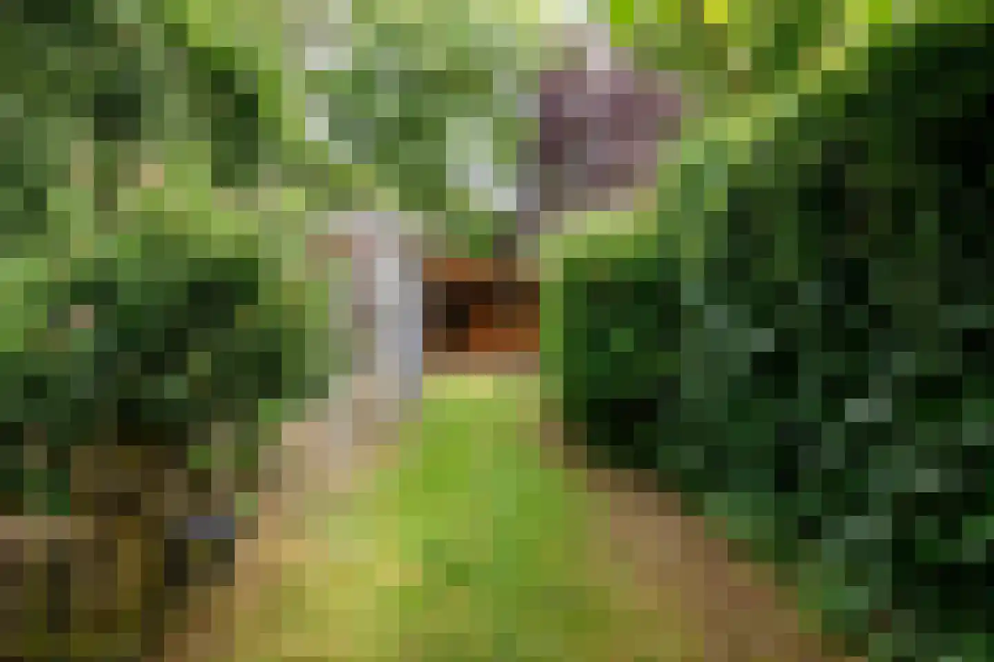 Op de Vey 8 Geleen thumbnail 43