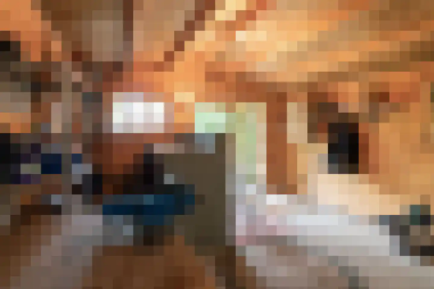 Op de Vey 8 Geleen thumbnail 46