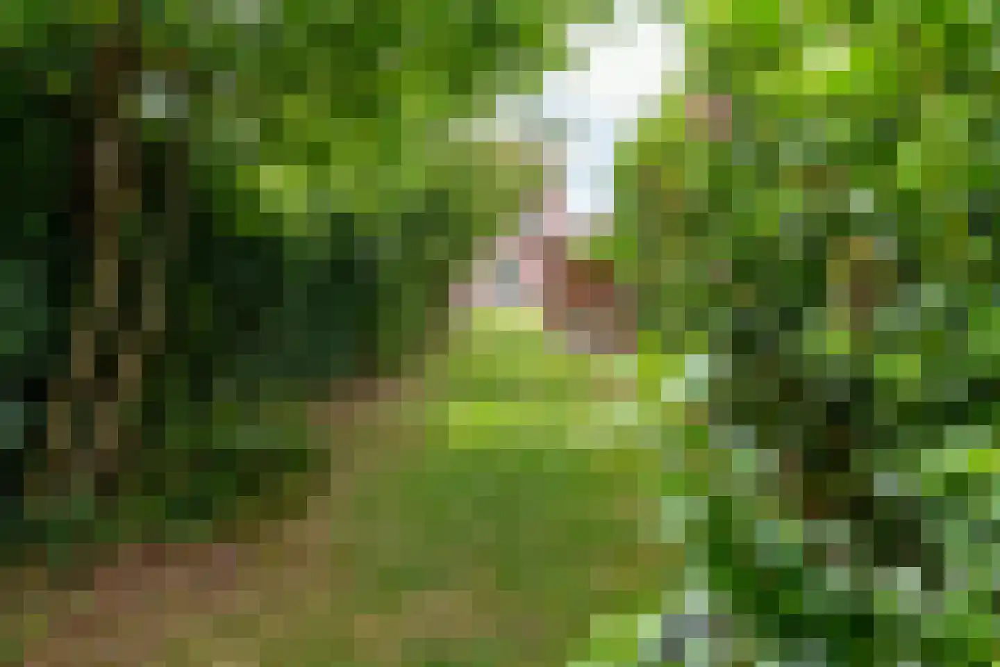 Op de Vey 8 Geleen thumbnail 48