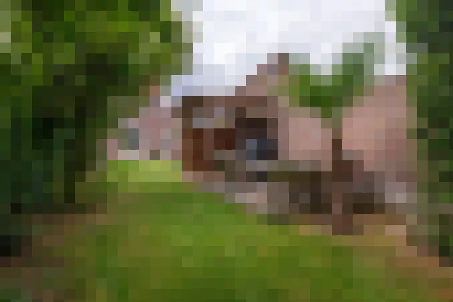 Op de Vey 8 Geleen thumbnail 49
