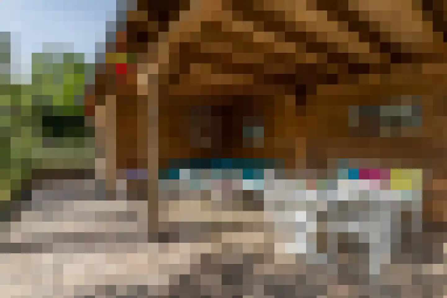 Op de vijf bunder 31 Nuth foto 3