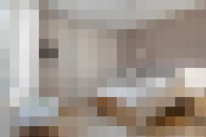Op de Vlis 11 Horst thumbnail 12