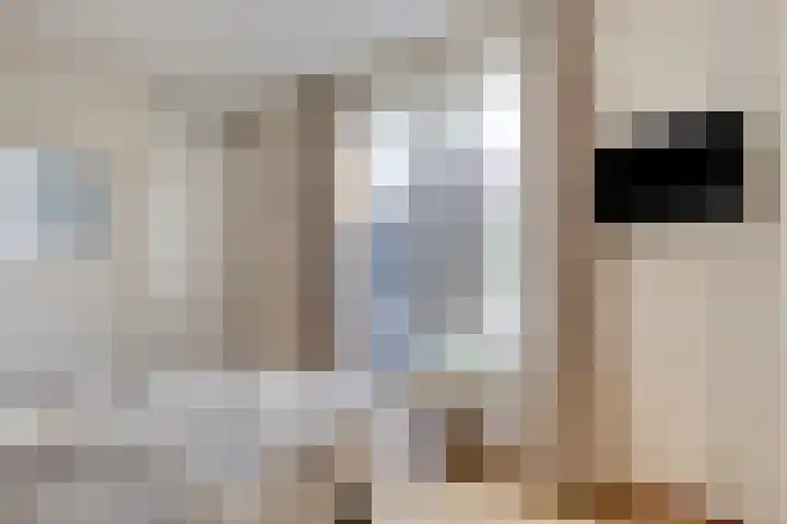 Op de Vlis 11 Horst thumbnail 13