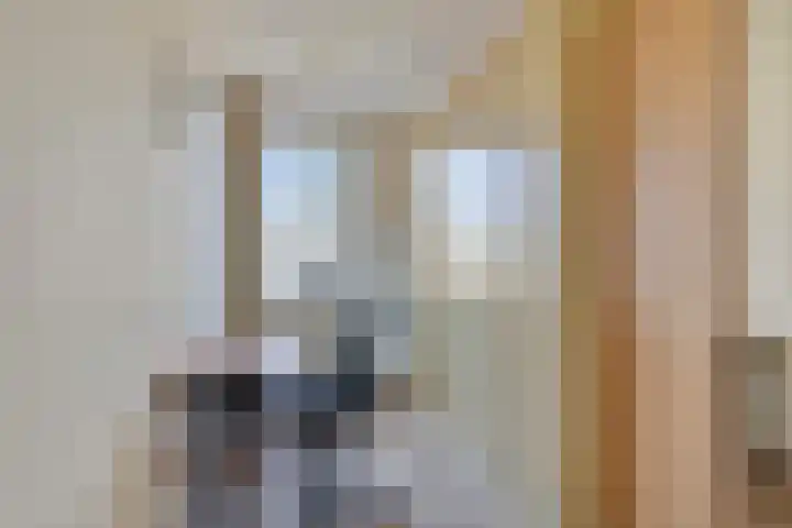 Op de Vlis 11 Horst thumbnail 18