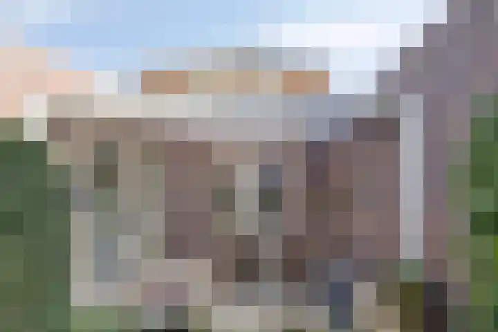 Op de Vlis 11 Horst thumbnail 24