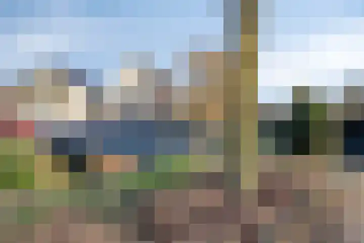Op de Vlis 11 Horst thumbnail 25