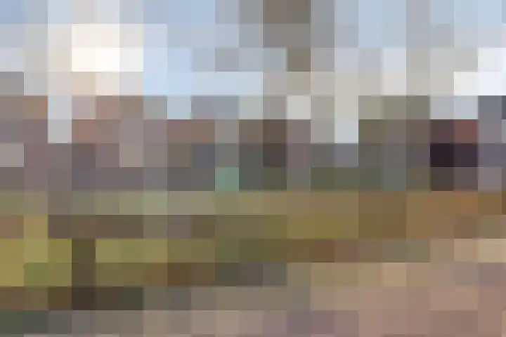 Op de Vlis 11 Horst thumbnail 26