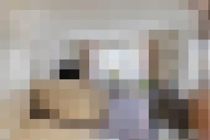 Op de Vlis 11 Horst thumbnail 4