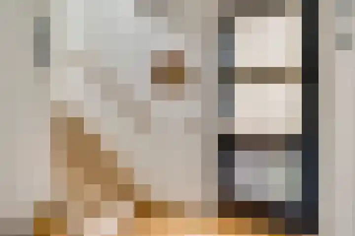 Op de Vlis 2 Horst thumbnail 13