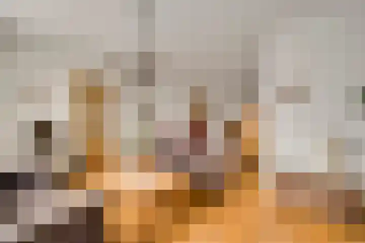 Op de Vlis 2 Horst thumbnail 15