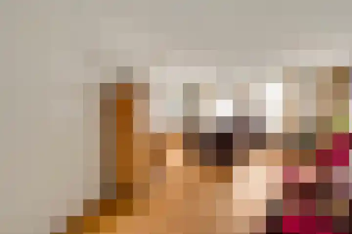 Op de Vlis 2 Horst thumbnail 17