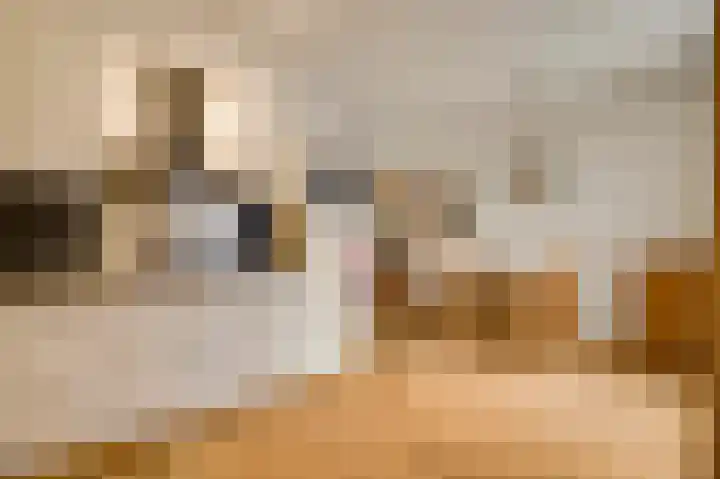 Op de Vlis 2 Horst thumbnail 20