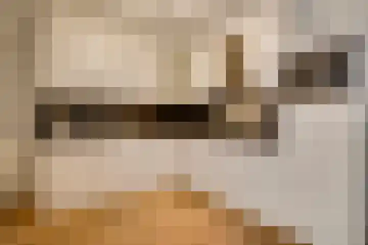 Op de Vlis 2 Horst thumbnail 21
