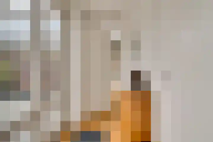Op de Vlis 2 Horst thumbnail 22