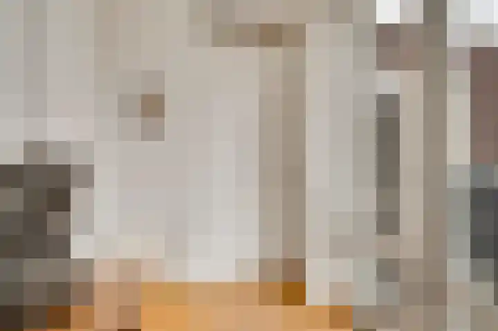Op de Vlis 2 Horst thumbnail 23