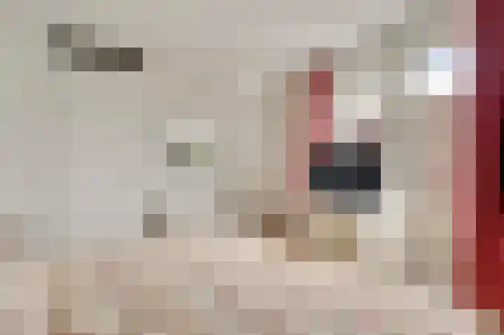 Op de Vlis 2 Horst thumbnail 25